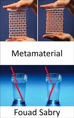 Metamaterial (eBook, ePUB) - Sabry, Fouad