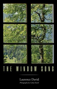 The Window Song (eBook, ePUB) - David, Laurence