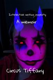 Intellectual Writing Porperty (PTSD creative, #1) (eBook, ePUB)