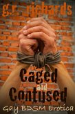 Caged and Contused: Gay BDSM Erotica (eBook, ePUB) Caged and Contused: Gay BDSM Erotica (eBook, ePUB)