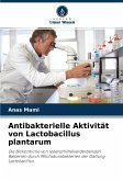 Antibakterielle Aktivität von Lactobacillus plantarum