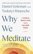 Why We Meditate - Bild 1