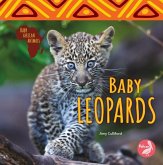 Baby Leopards Baby Leopards