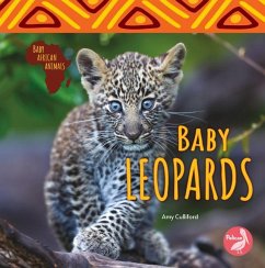 Baby Leopards - Culliford, Amy