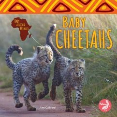 Baby Cheetahs - Culliford, Amy