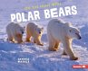 On the Hunt with Polar Bears - Bild 1