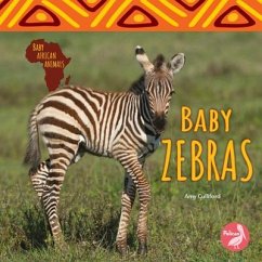 Baby Zebras - Culliford, Amy