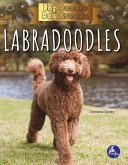 Labradoodles