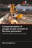 Comportamento di gruppi di pali scavati in terreno granulare