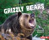 On the Hunt with Grizzly Bears - Bild 1