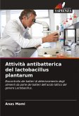 Attività antibatterica del lactobacillus plantarum