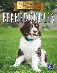 Bernedoodles - Earley, Christina