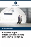 Beschleunigte Internationalisierung eines KMU in der EU