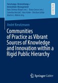 Communities of Practice as Vibrant Sources of Knowledge and Innovation within a Rigid Public Hierarchy (eBook, PDF)