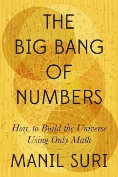 The Big Bang of Numbers - Suri, Manil