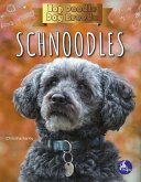 Schnoodles