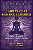 Chakras En La Práctica Chamánica