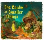 The Realm of Smaller Things