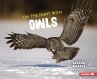On the Hunt with Owls - Bild 1