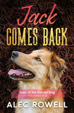 Cover Jack Comes Back