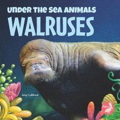 Walruses - Culliford, Amy
