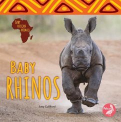 Baby Rhinos - Culliford, Amy