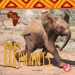 Baby Elephants - Culliford, Amy
