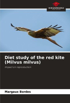 Diet study of the red kite (Milvus milvus) - Bordes, Margaux