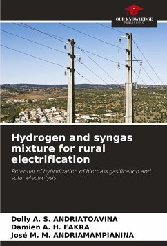 Hydrogen and syngas mixture for rural electrification - ANDRIATOAVINA, Dolly A. S.;FAKRA, Damien A. H.;ANDRIAMAMPIANINA, José M. M.