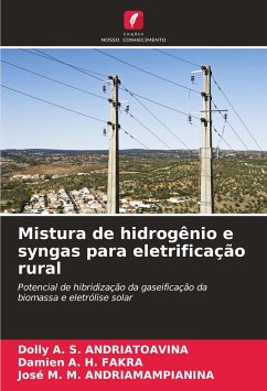 Mistura de hidrogênio e syngas para eletrificação rural - ANDRIATOAVINA, Dolly A. S.;FAKRA, Damien A. H.;ANDRIAMAMPIANINA, José M. M.
