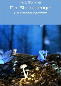 Cover Der Sternenengel (eBook, ePUB)
