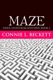 Maze (eBook, ePUB)