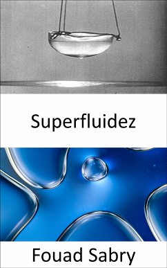 Superfluidez (eBook, ePUB) - Sabry, Fouad