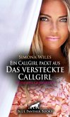 Ein CallGirl packt aus - Das versteckte Callgirl   Erotische Geschichte (eBook, PDF)