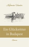 Ein Glücksritter in Budapest (eBook, ePUB)