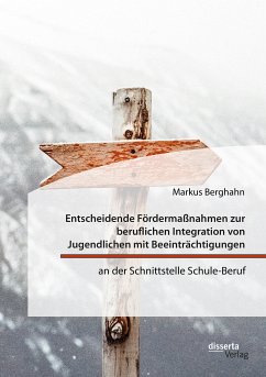 Entscheidende Fördermaßnahmen zur beruflichen Integration von Jugendlichen mit Beeinträchtigungen an der Schnittstelle Schule-Beruf (eBook, PDF) - Berghahn, Markus