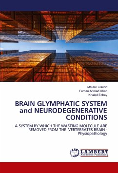 BRAIN GLYMPHATIC SYSTEM and NEURODEGENERATIVE CONDITIONS