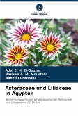 Asteraceae und Liliaceae in Ägypten