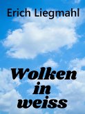 Wolken in weiß (eBook, ePUB)