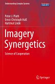 Imagery Synergetics