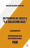 En tiempos de crisis ll (eBook, ePUB)