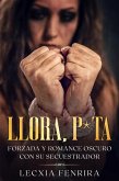 Llora, P*ta (eBook, ePUB)