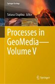 Processes in GeoMedia—Volume V (eBook, PDF)