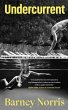 Undercurrent - Bild 1