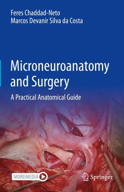 Microneuroanatomy and Surgery (eBook, PDF) - Chaddad-Neto, Feres; Silva da Costa, Marcos Devanir