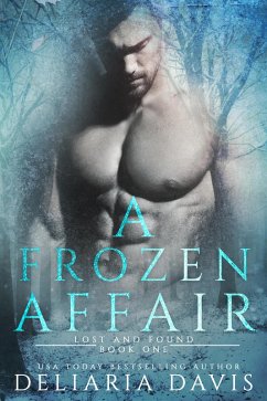 Cover A Frozen Affair (eBook, ePUB)
