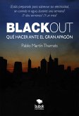 Blackout (eBook, ePUB)