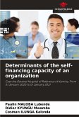 Determinants of the self-financing capacity of an organization