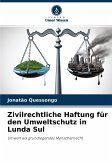 Zivilrechtliche Haftung für den Umweltschutz in Lunda Sul