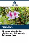 Rindenanatomie der einjährigen Stämme der Ericaceae Juss